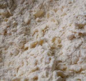 Work the butter into the flour mixture with a pastry blender or fork until it looks crumbly.